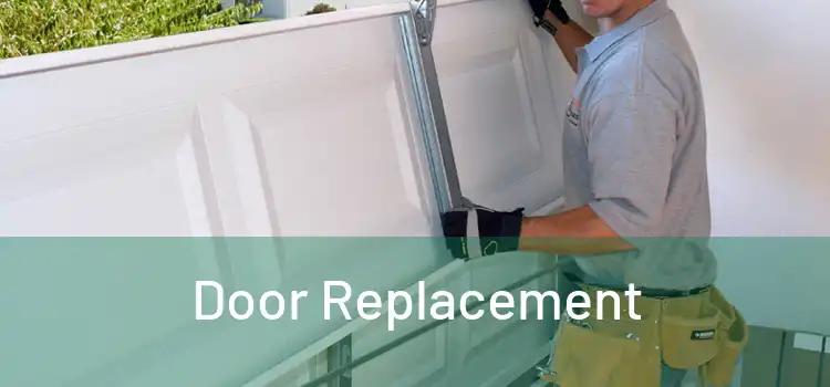  Door Replacement 